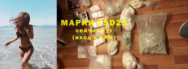 PSILOCYBIN Михайлов