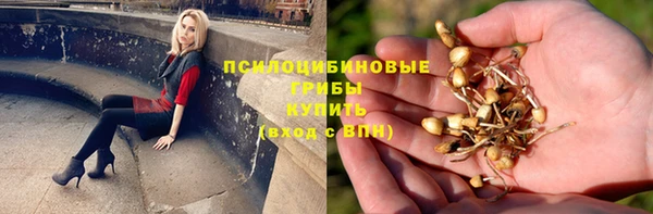 эйфоретик Абдулино