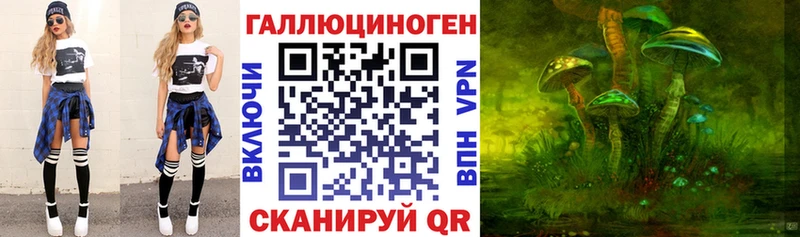 Псилоцибиновые грибы мицелий Чегем