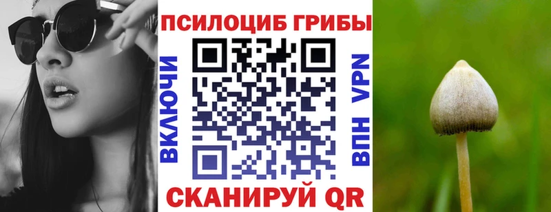 Галлюциногенные грибы Cubensis Чегем